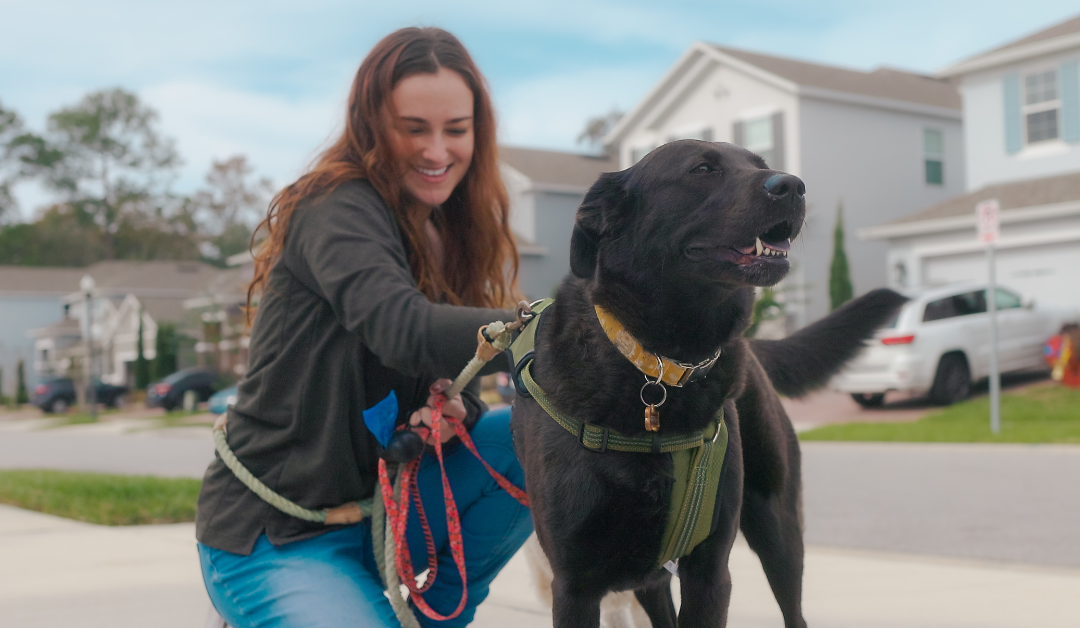 Featured image for “Why Experience Matters: The Value of Seasoned Pet Care Professionals”