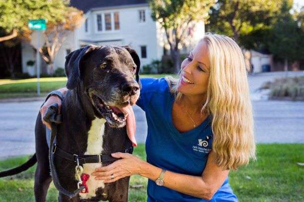 Featured image for “Celebrate National Walk Your Dog Week with Park Cities Pet Sitter”