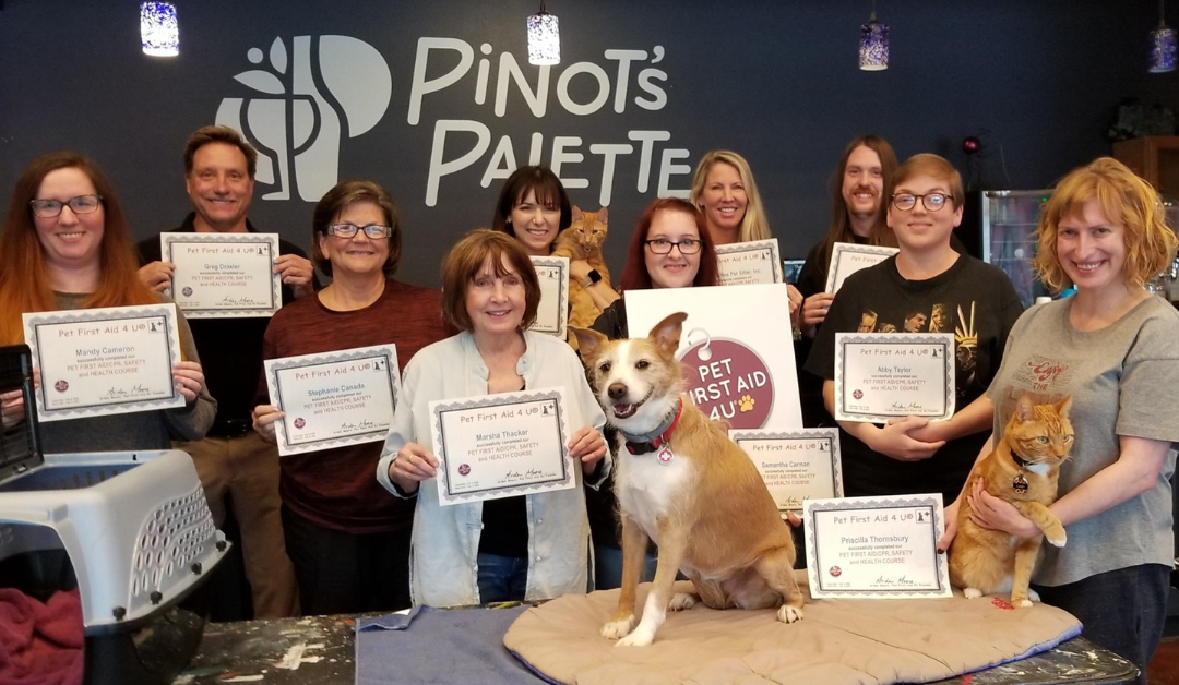Featured image for “Pet First Aid and CPR Training: Essential Skills for Pet Parents and Pet Care Professionals”