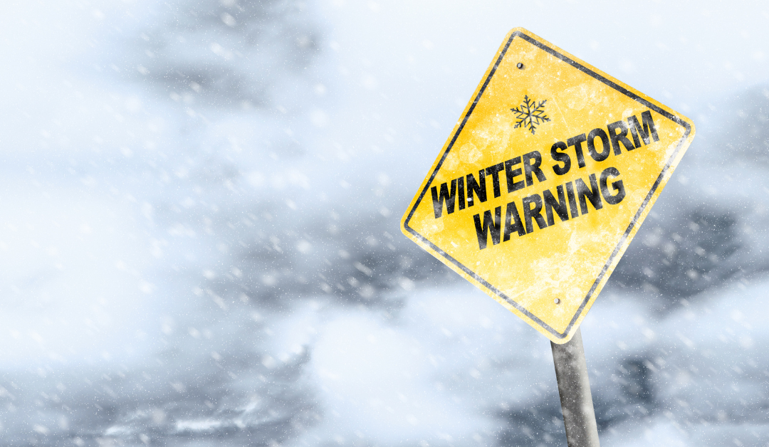 Featured image for “Dallas Winter Storm Watch: Practical Pet Care Recommendations”
