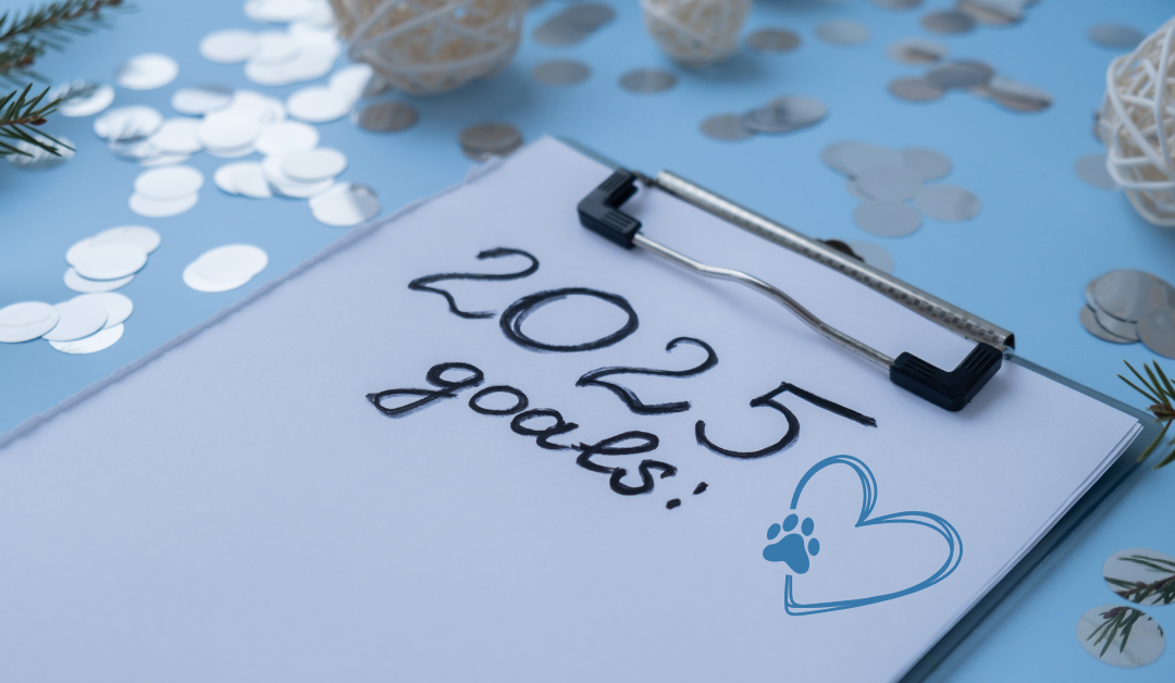 Featured image for “Top 4 New Year’s Resolutions for Dallas Pet Parents”