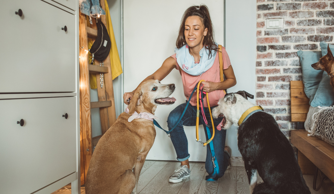 Featured image for “Celebrating Professional Pet Sitters Week 2025: Honoring the Unsung Heroes of Pet Care”