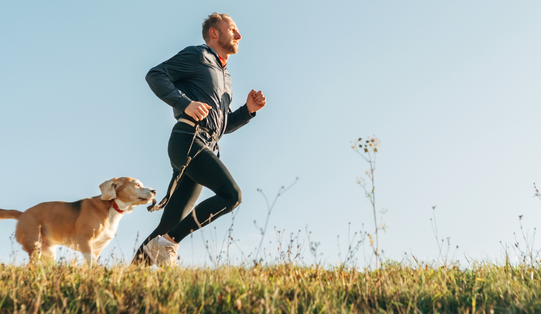 Featured image for “The Top Benefits of Exercise for Pets and Humans”