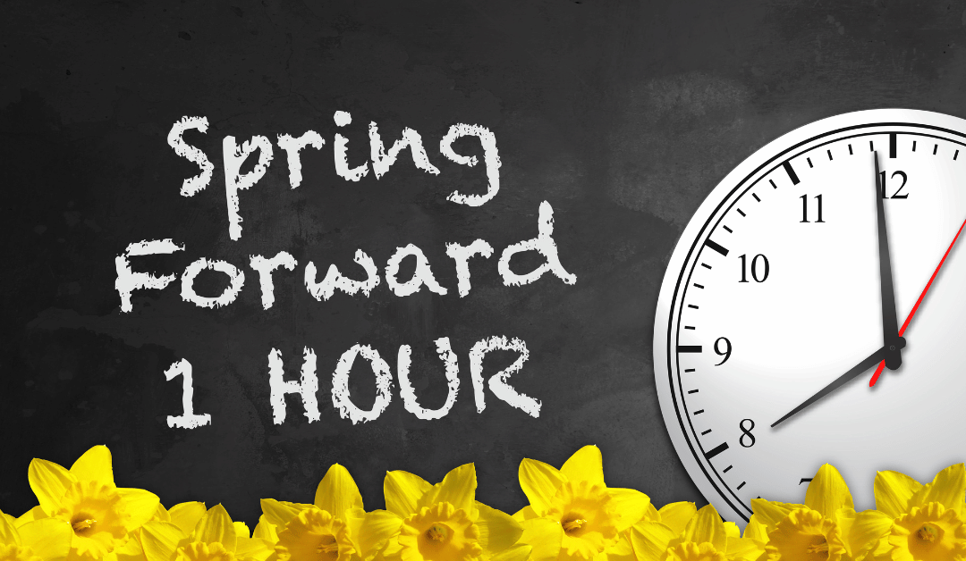 Featured image for “Spring Forward: How Daylight Savings Time Affects Our Pets”