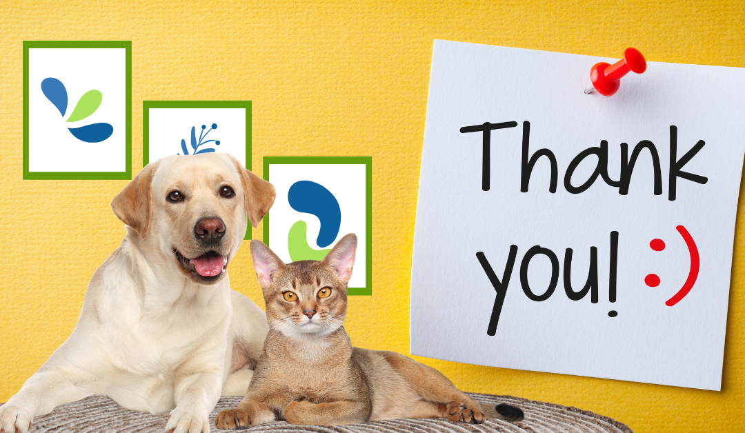 Featured image for “Today is Thank Your Pet Sitter Day™: Our Top Ways to Say “Thank You!””