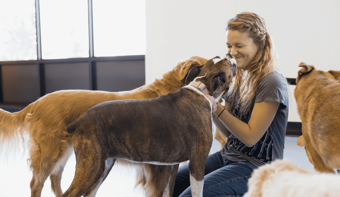 Featured image for “Choosing the Right Boarding Facility for Your Pet: Top 5 Things to Look For”