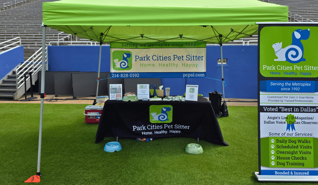 Featured image for “Meeting Dallas Pets & Their Parents in the Wild: Dallas Dog Bowl 2025”