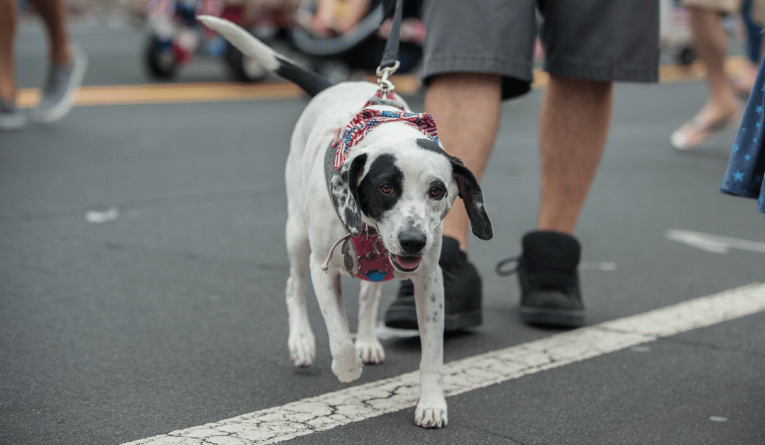 Featured image for “Visit the PCPSI Booth at the Park Cities Fourth of July Parade 2025”
