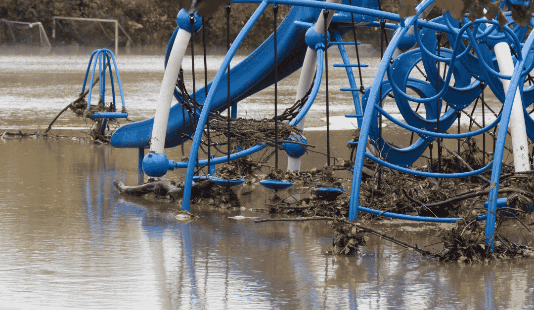 Featured image for “Flash Floods and Pet Safety in the Dallas Metroplex”