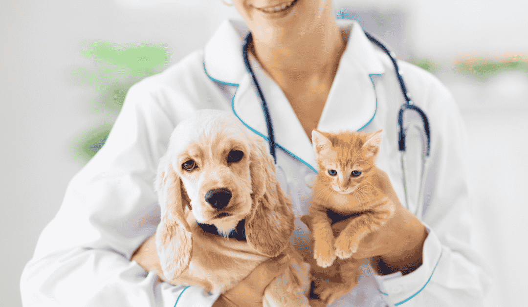 Featured image for “PCPSI’s Go-To Dallas Metroplex Veterinarians”