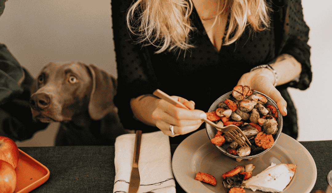 Featured image for “Pancreatitis Patrol: Say ‘No’ to Table Scraps and Protect Your Pet’s Digestion”