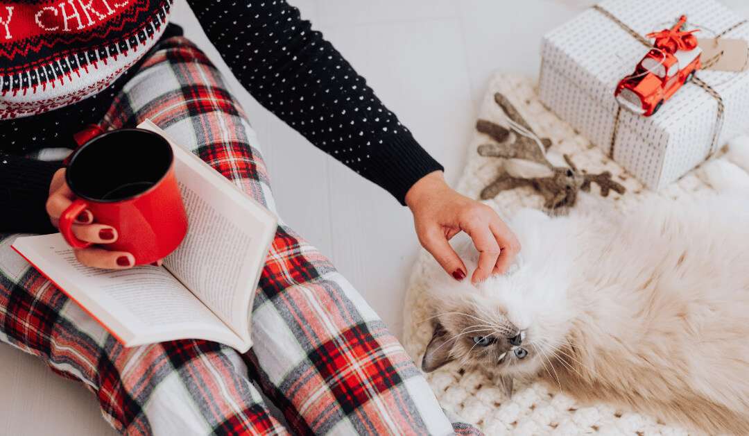 Featured image for “What Professional Pet Sitters See During the Holidays (That You Might Miss)”