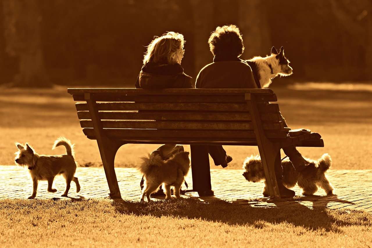 Featured image for “Dallas Dog Parks”