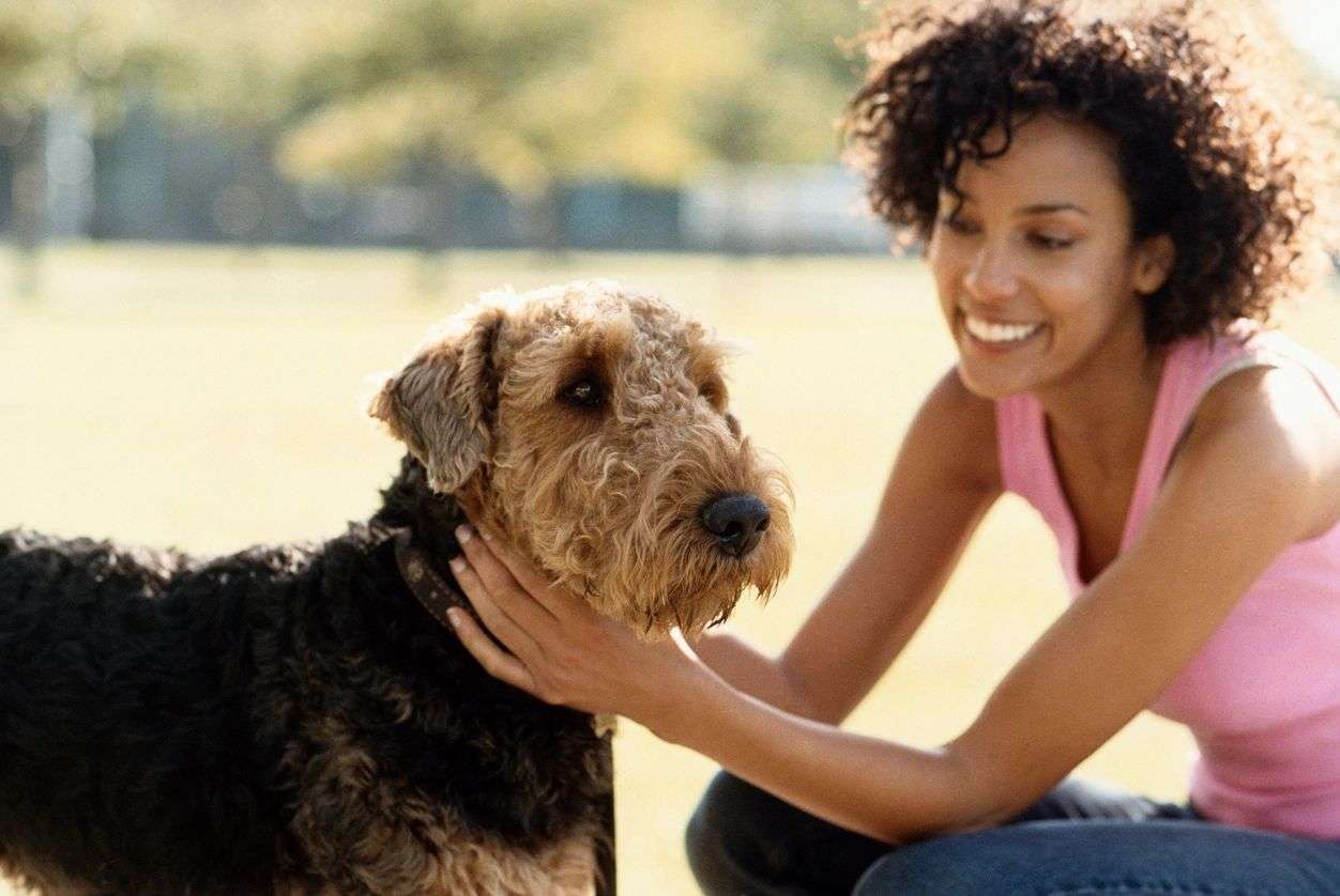 Featured image for “Longevity of a Company’s Employees Is Important When Choosing a Dallas Dog Walker”