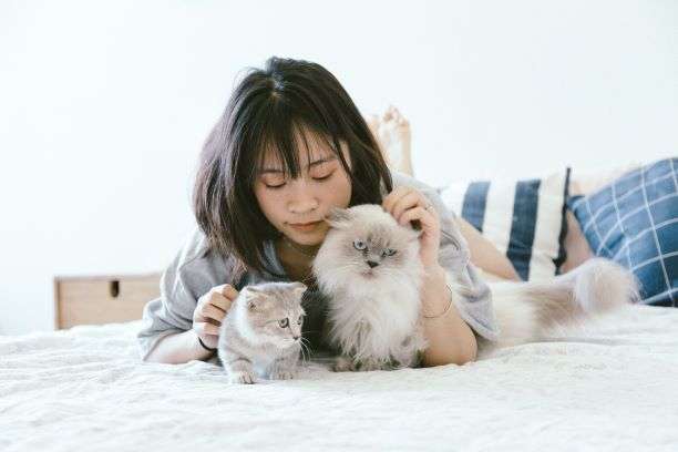 Featured image for “Hiring a Great Dallas Cat Sitter”