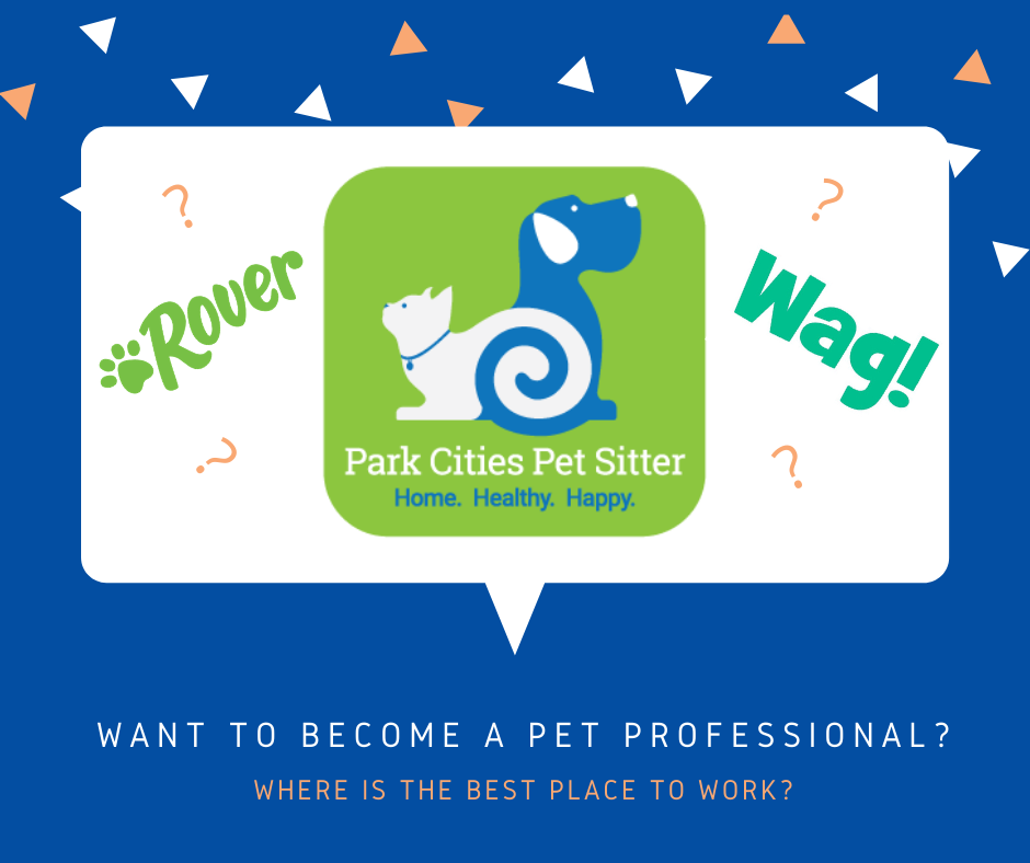 Featured image for “Why Work for PCPSI Instead of for Wag! or Rover”