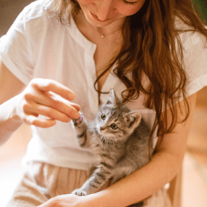 cat with cat sitter PCPSI Dallas, TX