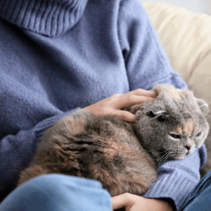 Dallas cat sitter with cat on lap PSPCI cat sitter