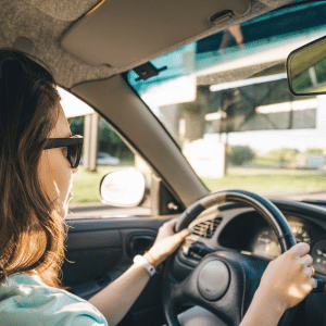 Dallas pet parent driving home