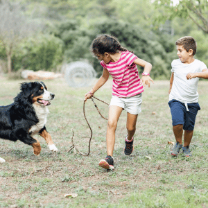 kids running with their dog in Dallas, TX