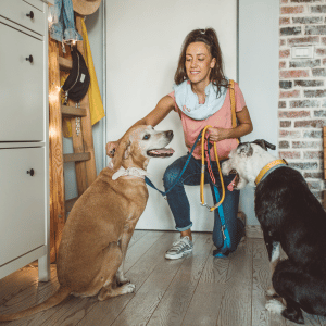 pet sitter Dallas Texas