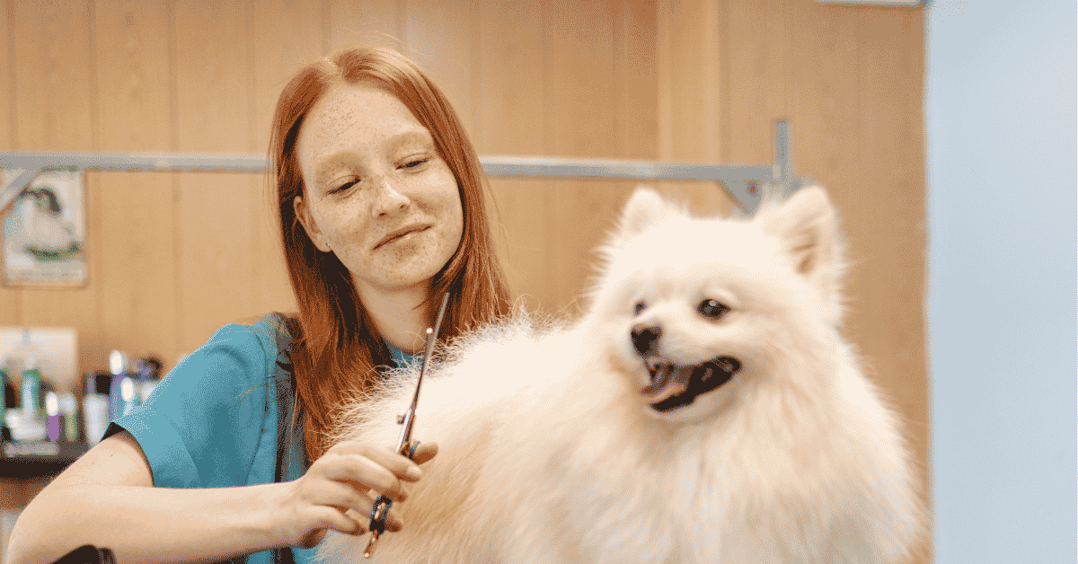 Featured image for “7 Ways Dallas Pet Parents Can Support Their Pets’ Wellness”